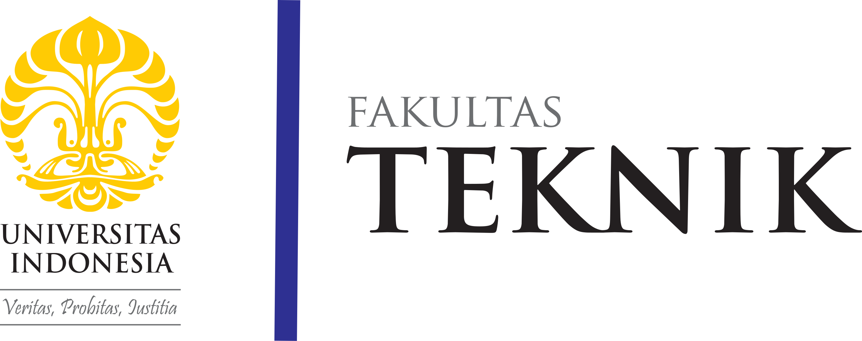 FT UI